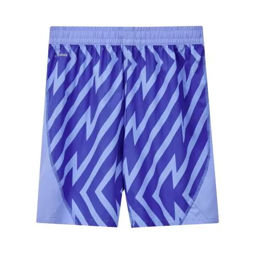 Switzerland Goalkeeper Children EC Shorts blue - 2024-25